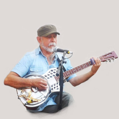 Dik
                Banovich Aiersi Parlor Guitar